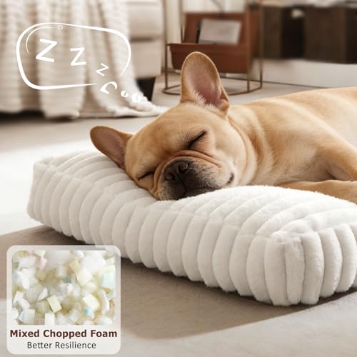 Dog Beds for Small Dogs (Cream / S(23"x18"x3"))