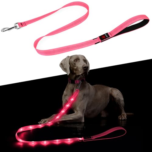 Light Up Dog Leash (Pink)