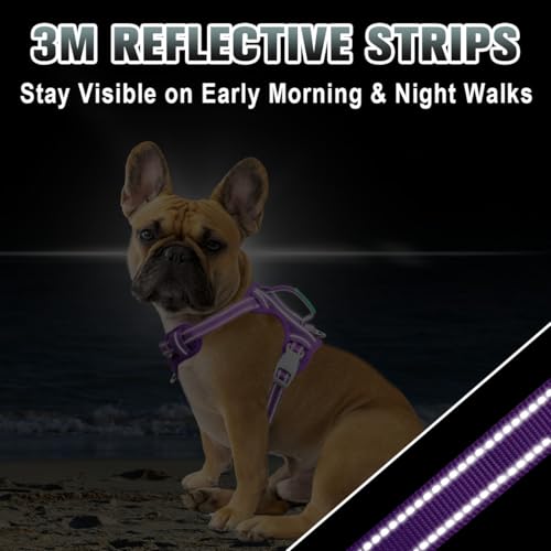 Dog Harness for Small Sized Dog No Pull Dog Vest ID Tag Pocket (Purple / Small)