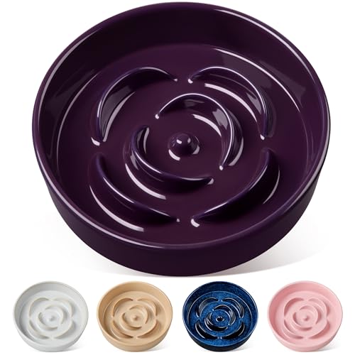 Slow Feeder Dog Bowl (L - 3 Cups / Dark Purple)