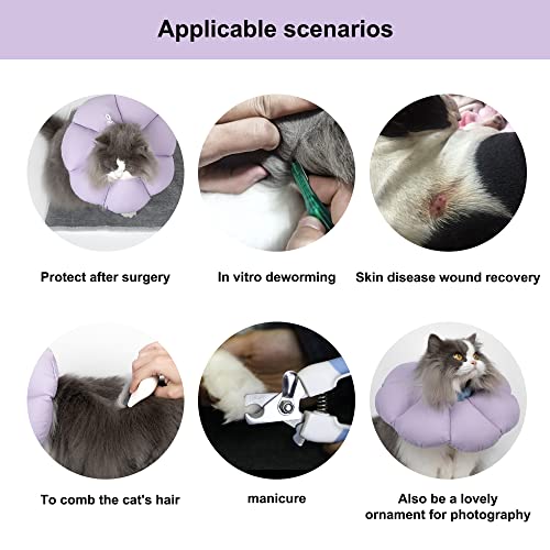 Cat Cone Collar (Medium / purple)