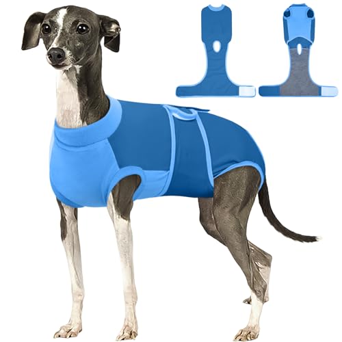 Dog Recovery Suit (Blue / Large)