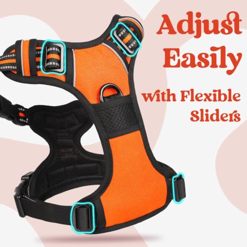 Dog Harness Medium Sized (Medium / Orange)