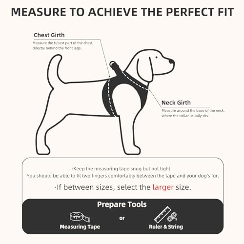 Dog Harness Collar and Leash Set No Pull for Small Medium Sized (Black&White (Checkered) / M (CHEST 16"-18"))