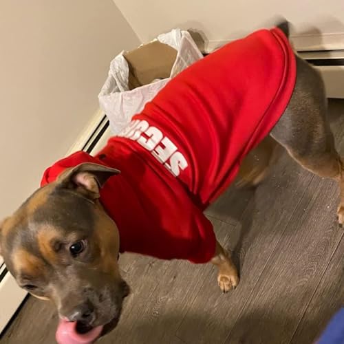 Security Dog Hoodie (#1 Red(Security) / Small (All Breed Sizes))