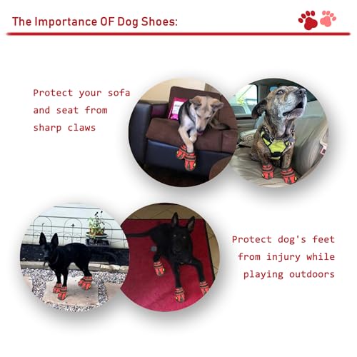 Dog Shoes for Hot Pavement (Size 2 / Red)