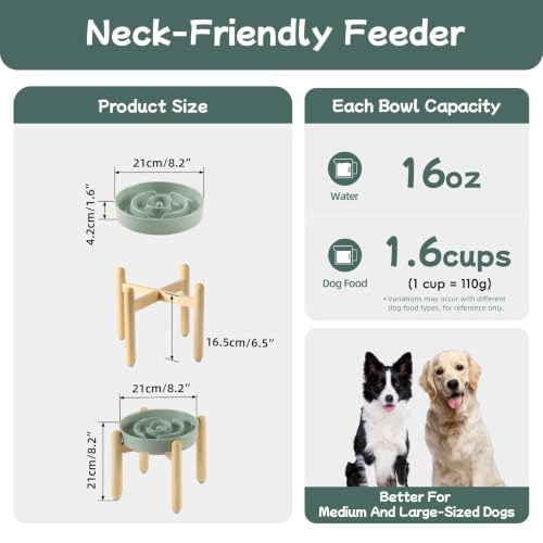 Elevated Slow Feeder Dog Bowls (Light Green)