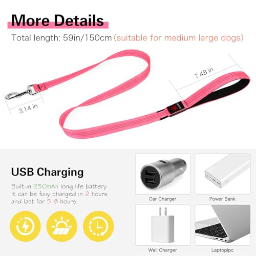 Light Up Dog Leash (Pink)