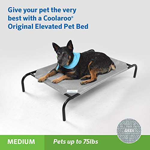 Original Elevated Dog Bed (Medium Dog Bed / Grey)