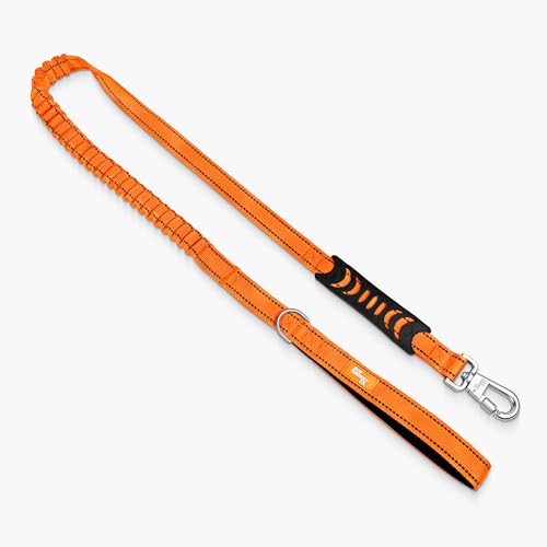 Bungee Dog Leash (Hi-Vis Orange / Regular)