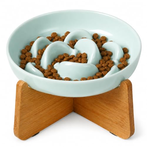 Elevated Slow Feeder Cat Bowl (Blue + Bamboo Base / 7"H)
