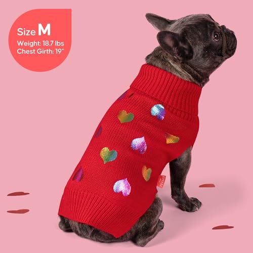 Valentines Dog Sweater (X-Large (19-27lbs) / Heart (Red))