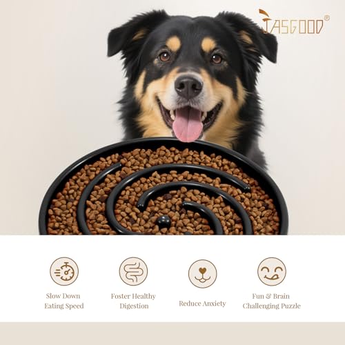 Slow Feeder Dogs Bowl for Large Medium Dogs (Large / A-Black)