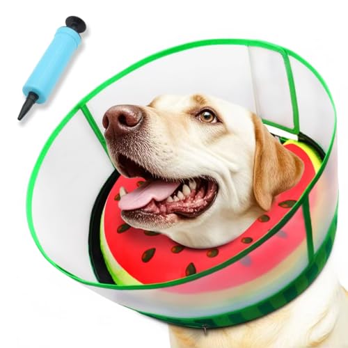 Upgraded Inflatable Dog Cone Collar to Stop Licking (M+ (Neck: 11-14") / Watermelon)
