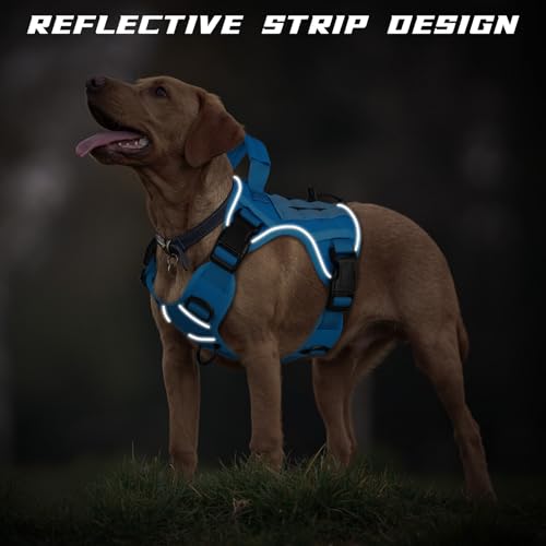 Blue Tactical Dog Harness for Small Dogs (Blue / Small: 15-30 lbs (Chest:20-26",Neck:15-18"))