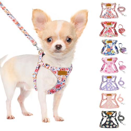 No Pull Dog Harness with Leash for Small Medium Dogs (XX-Small(2.2-6lb) / Flower)