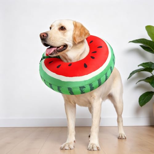 Recovery Donut Collar for Medium Large Dogs (Red Watermelon / XL(Neck 18"-21"))