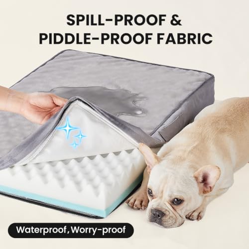 Orthopedic Waterproof Medium Dog Bed (30" x 20" x 3" (For Sprawling) / 01-Gray)