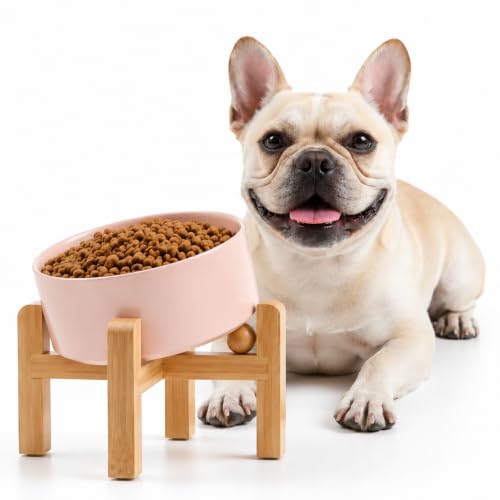 Khaki Raised Elevated 15°Slanted Ceramic Dog Bowl for Small Breeds (Khaki / 1.7 CUPS - Puppy/Small Dogs & Cat Bowls)