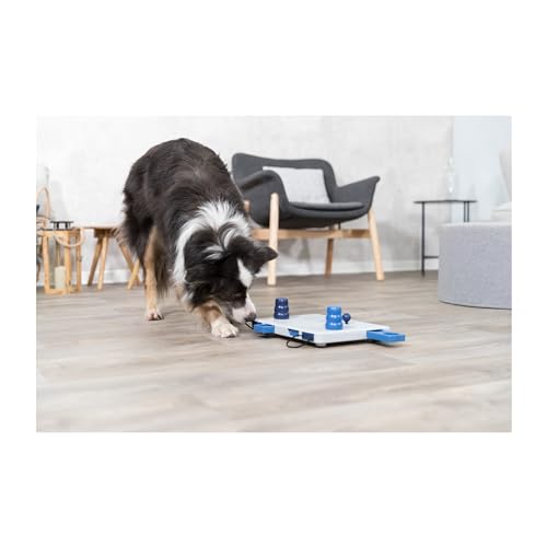 Move-2-Win, Level 3, blue and white (32025) (Move-2-Win / Level 3)