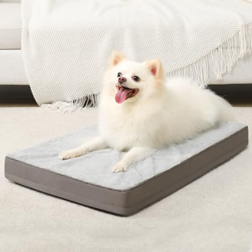 Orthopedic Dog Bed for Small Dogs with Waterproof Lining (Light Grey / 23.0"L x 17.0"W x 3.0"Th)