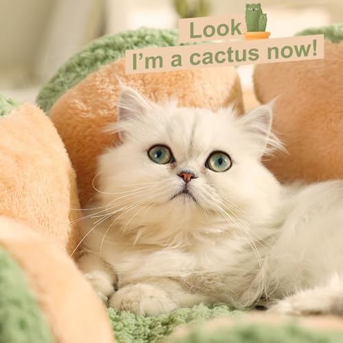 Cute Cat Beds Kitten Beds (Medium / Green)