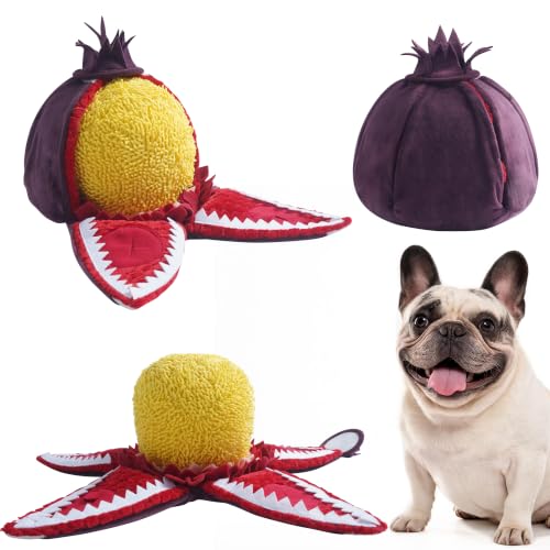 Hide and Seek Plush Dog Toys (Rafflesia)