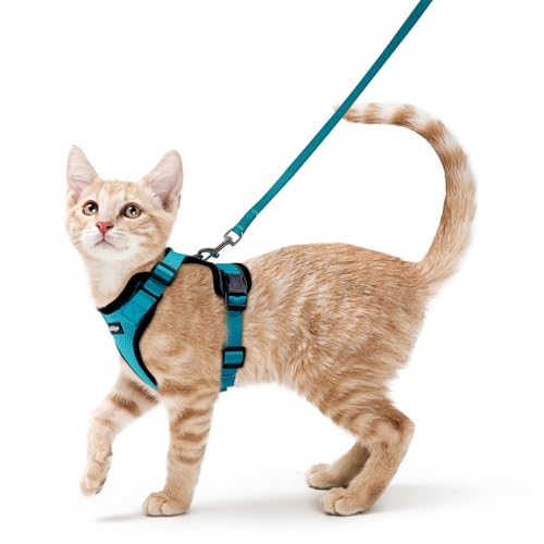 Cat Harness and Leash Set (Xs / Teal)