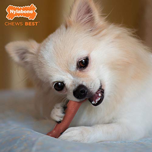 Power Chew Classic Bone Chew Toy for Dogs (X-Small)