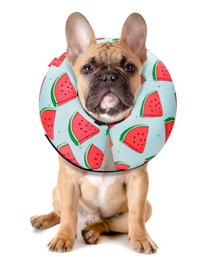 Inflatable Dog Cone (‌Melon / M(12"-15"))