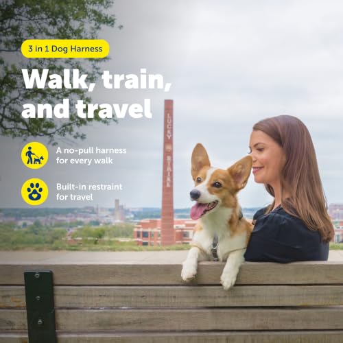 Easy Walk 3 in 1 No Pull Dog Harness (Teal / Small (Pack of 1))