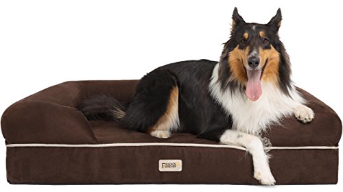 X Large Dog Bed (Memory Foam Dog Bed / Chester Brown / 44.0"L x 34.0"W x 10.0"Th)