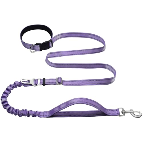 Bungee Dog Leash (Lavender / 4.6-7.3FT)