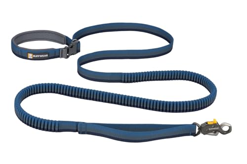 Roamer Lock Bungee Dog Leash (Orion Blue / 5.5'-7')