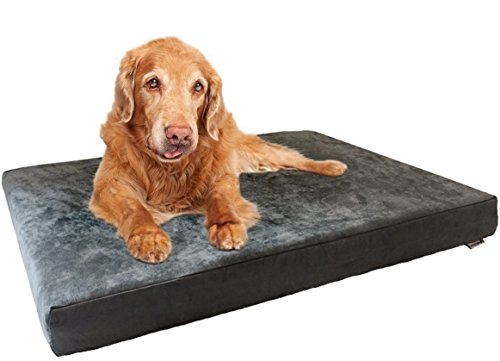 Orthopedic Dog Bed with Memory Foam for Medium Large Pet (Large 41" Length X 27" Width / Microsuede in Gray)