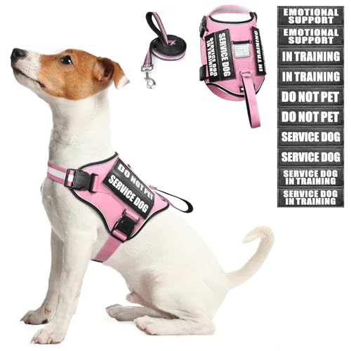 Service Dog Harness and Leash Set (Small / Pink)