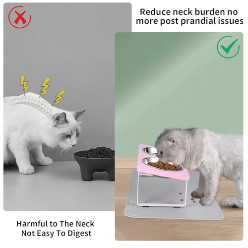 Upgraded Elevated Cat Bowls with Food Mat