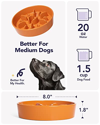 Dog Bowls Slow Feeder Ceramic (Sun Orange / M-1.5 Cups)
