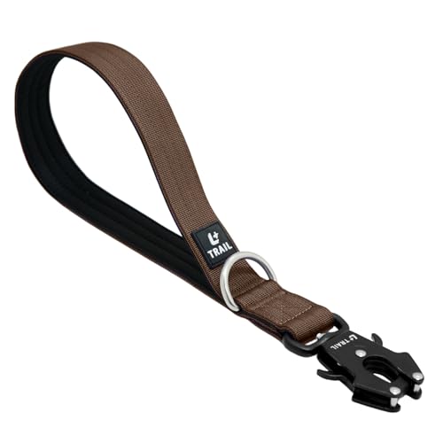 14 Inch Traffic Dog Leash with Padded Handle (Brown)