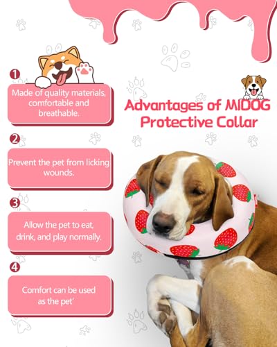 Inflatable Dog Cone (Strawberry / M(12"-15"))