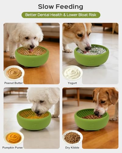 Dog Lick Bowl for Dogs L (Large / GREEN)