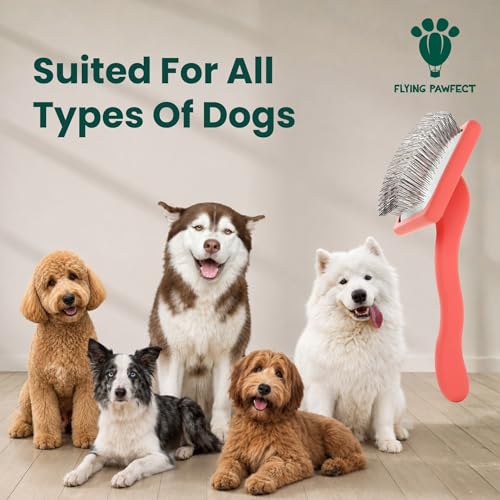 Slicker Brush for Dogs (Coral / Flat Large)