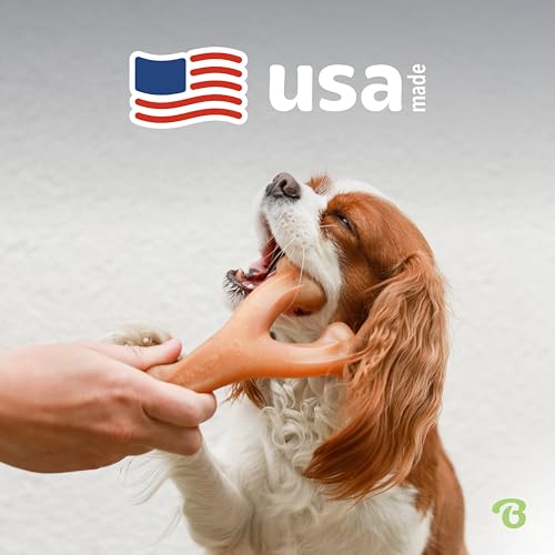 Wishbone Dog Chew Toy for Aggressive Chewers (Small)