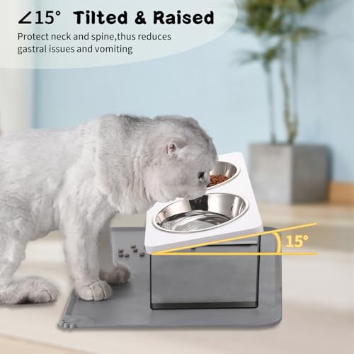 Upgraded Elevated Cat Bowls with Food Mat
