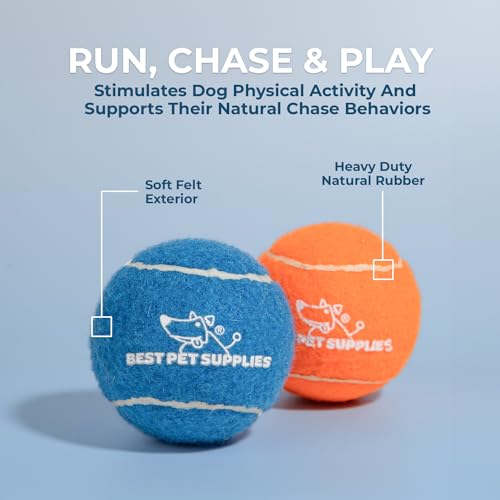 Interactive Squeaky Dog Chew Toy (Tennis (Assorted Color) / Large (Pack of 2))