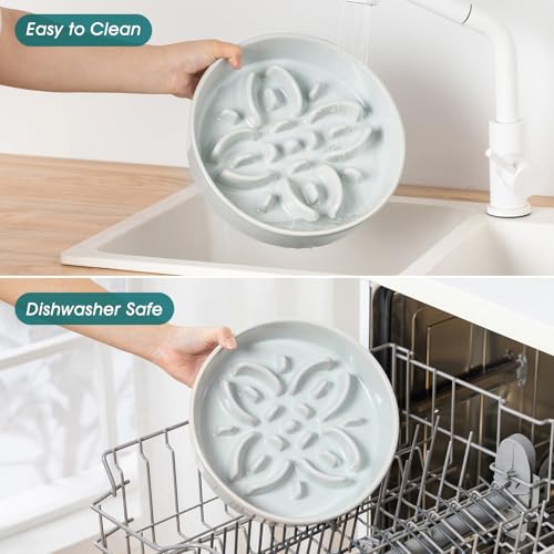 Ceramic Slow Feeder Dog Bowls (L-3 Cups / Grayish Cyan)