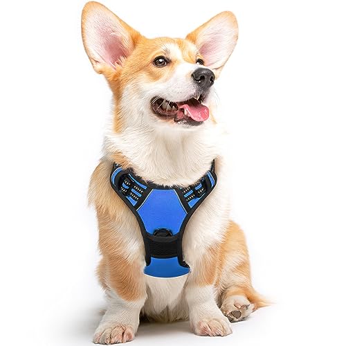 Dog Harness for Medium Sized Dogs (Medium / Blue)