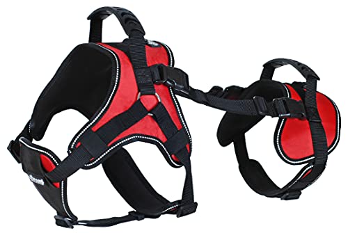 Multi Functional Full (Girth 20-25" / Red)