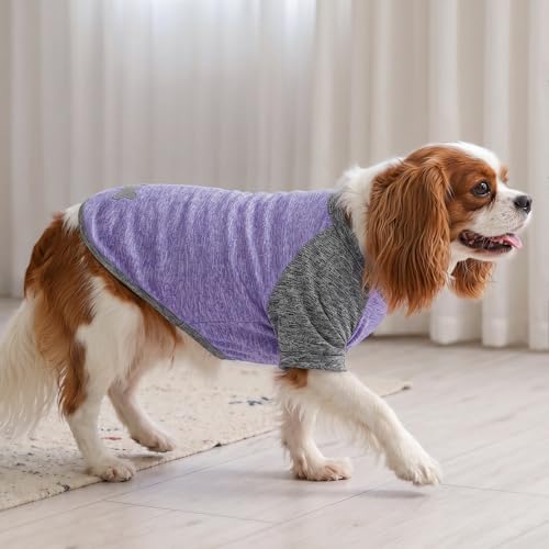 2Pack Dog Shirt for Small Dogs Sun Protection Tank Top with Sleeves (Medium (7-13lbs) / 4# 2Pack(Purple+Grey))