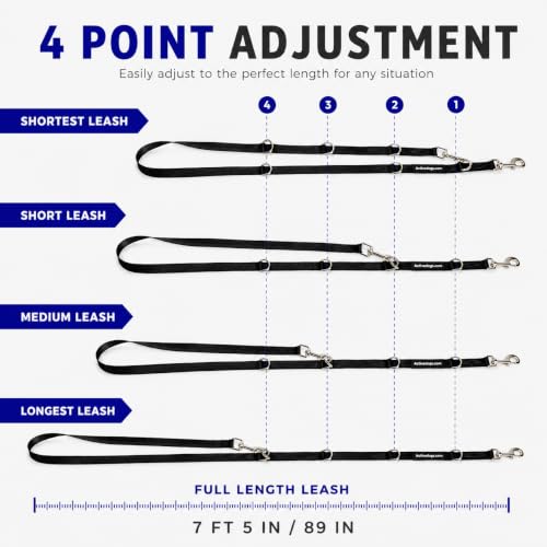 ActiveDogs Hands Free Dog Leash (7.5')